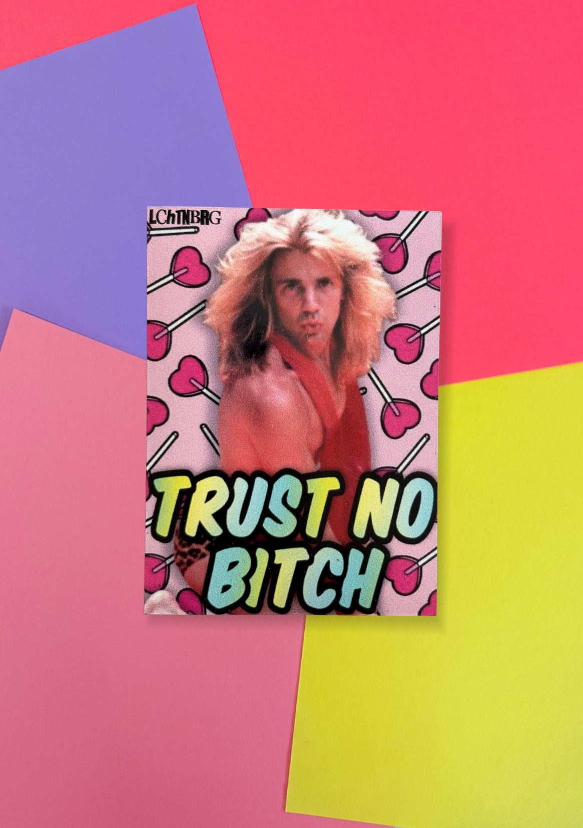 Magnet „Trust no bitch“