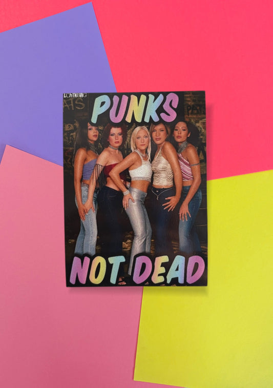 Magnet „Punks not dead“