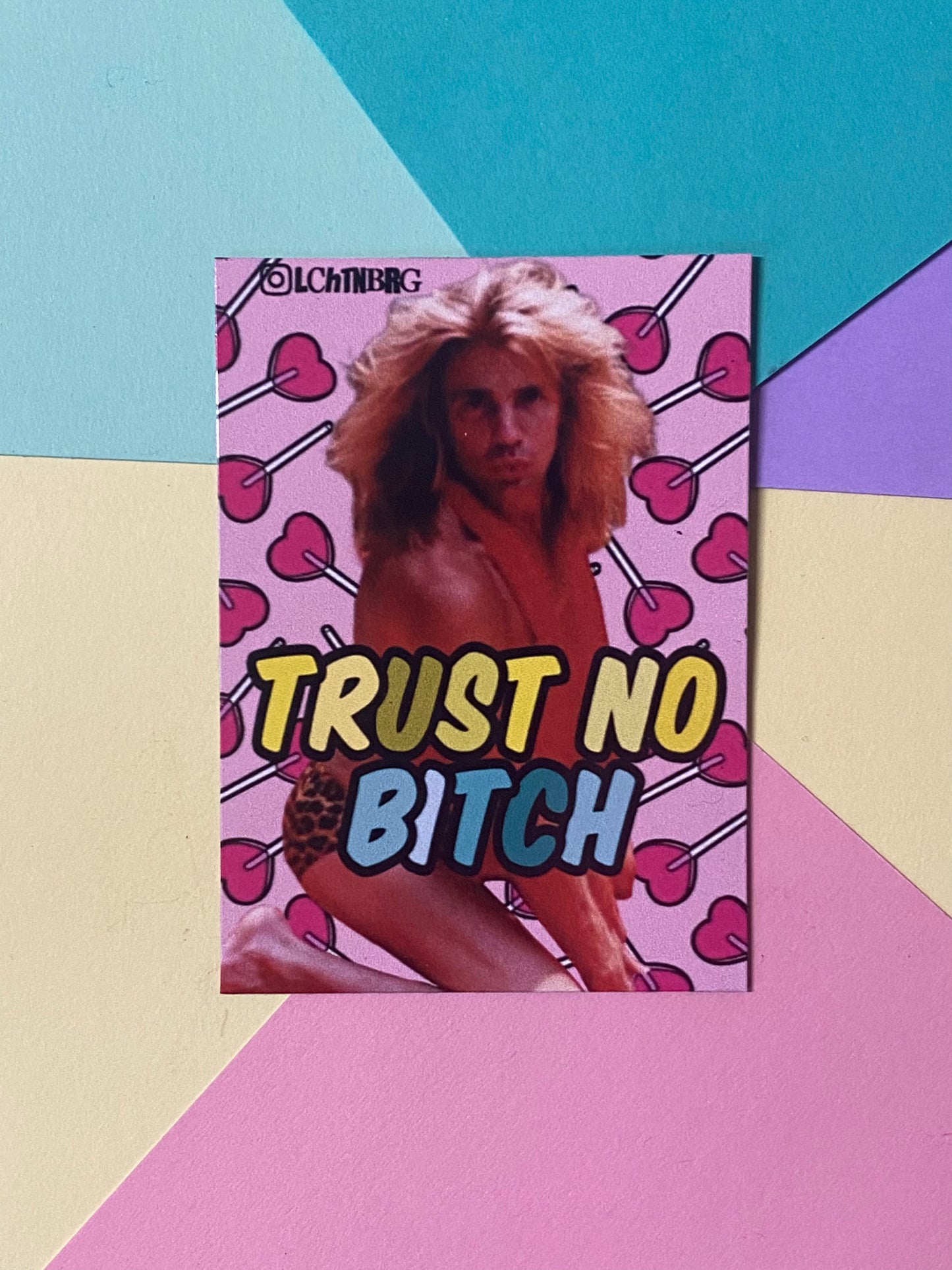 10er Magnet Set