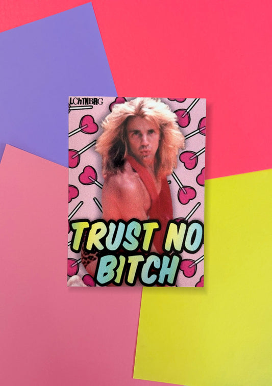 Magnet „Trust no bitch“