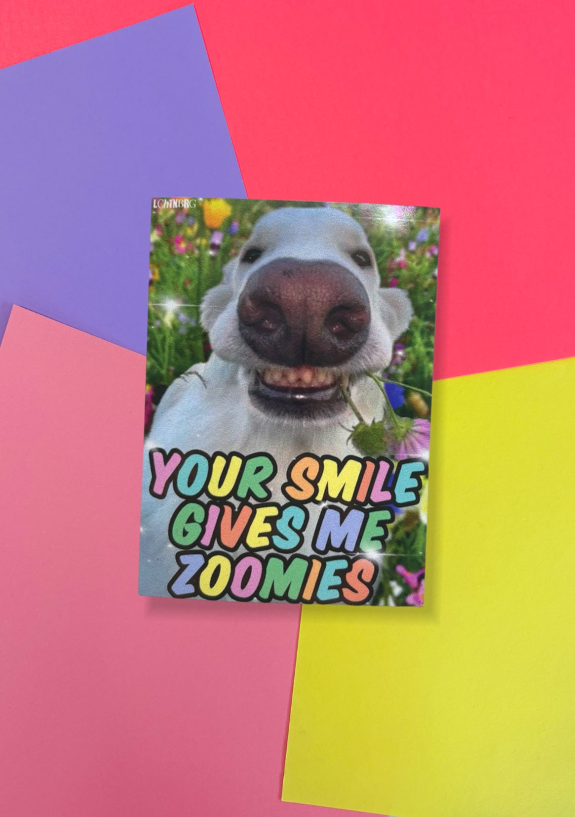 Magnet „your smile gives me zoomies“