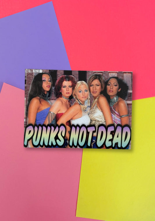 Magnet „Punks not dead“